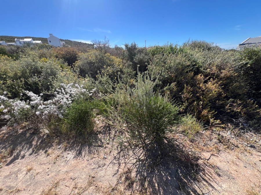 Commercial Property for Sale in St Helena Views Western Cape